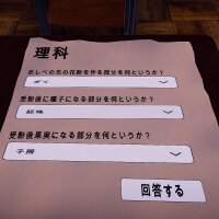 6days PC Crack