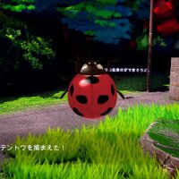 6days Update Download