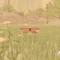 A Butterfly's Dream Torrent Download