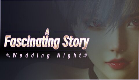 A fascinating story : Wedding Night Free Download