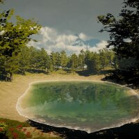 A Lonely Cabin Trip Repack Download