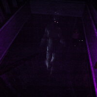 Abnormality PC Crack