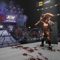 AEW: Fight Forever PC Crack