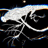 Alice Mesmerizing Episodes of Neurosis (AMEN) Update Download