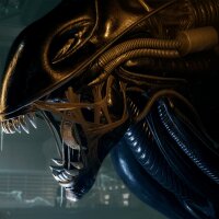 Alien: Rogue Incursion Torrent Download