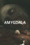 Amygdala Free Download