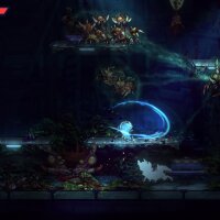 Anima Flux Crack Download