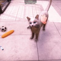 Animal Shelter 2 PC Crack