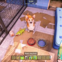 Animal Shelter 2 Crack Download