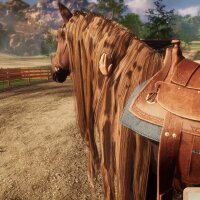 Animal Shelter - Horse Shelter DLC Torrent Download