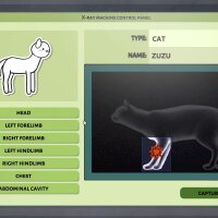 Animal Shelter - Vet Clinic DLC Torrent Download