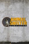 Animal Shelter Free Download