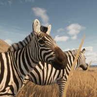 Animalia Survival Update Download