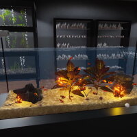 Aquarist - American Fish DLC Repack Download