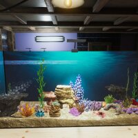 Aquarist Update Download