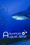 Aquarium at August 32nd Free Download