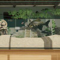 Aquarium Designer - Amazonia Torrent Download