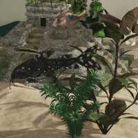 Aquarium Designer - Amazonia PC Crack