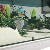 Aquarium Designer Repack Download
