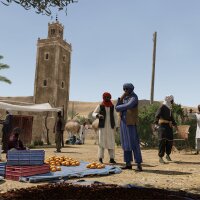 Arma 3 Creator DLC: Western Sahara Crack Download