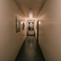 August Night Torrent Download