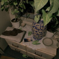 August Night PC Crack