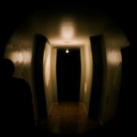 August Night Crack Download