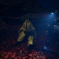 Backrooms: Extractions PC Crack