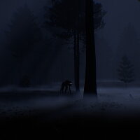 Backrooms Society Torrent Download