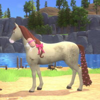 Barbie™ Horse Trails Torrent Download