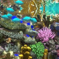 Behind Glass: Aquarium Simulator PC Crack