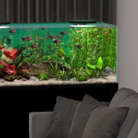 Behind Glass: Aquarium Simulator Crack Download