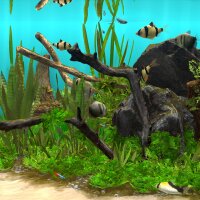 Behind Glass: Aquarium Simulator Repack Download