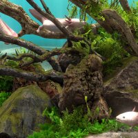 Behind Glass: Aquarium Simulator Repack Download