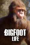Bigfoot Life Free Download