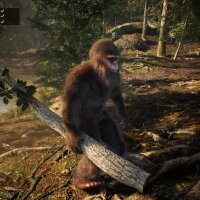 Bigfoot Life PC Crack