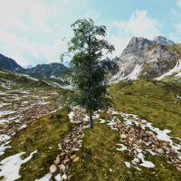 Birch Simulator Torrent Download