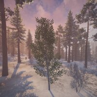 Birch Simulator Repack Download