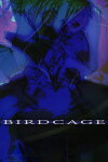 BIRDCAGE Free Download