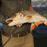 Call of the Wild: The Angler™ - South Africa Reserve Update Download