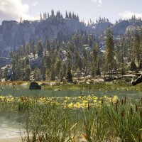 Call of the Wild: The Angler™ Update Download