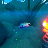 Capsoul Crack Download