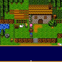 Castle Xenon Crack Download
