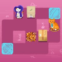 Cats Love Boxes Torrent Download