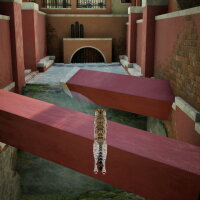 Curiosity Torrent Download