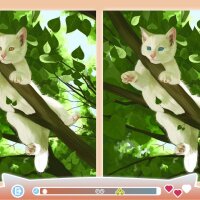 Cute Cats 2 Crack Download