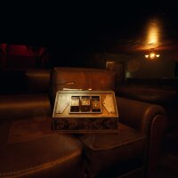Damned 2 Update Download
