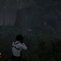 DARK FOREST Torrent Download