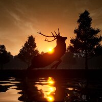Deer Journey Torrent Download