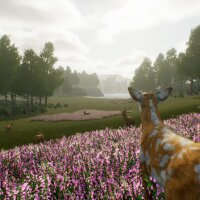 Deer Journey PC Crack